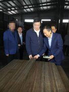 省委书记杜家毫再次莅临桃花江竹材考察调研